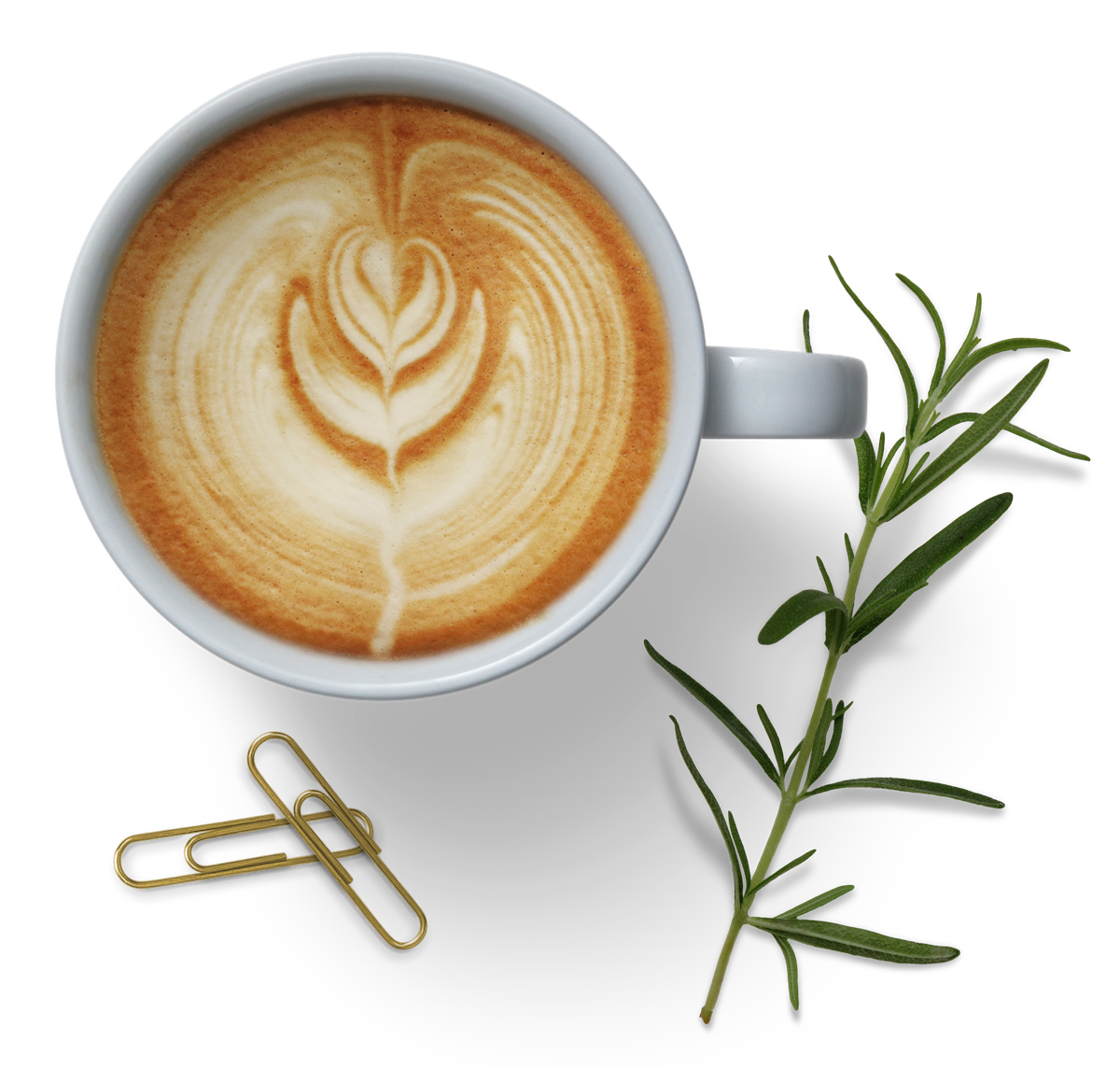 Latte Art Rosemary Gold Paperclips